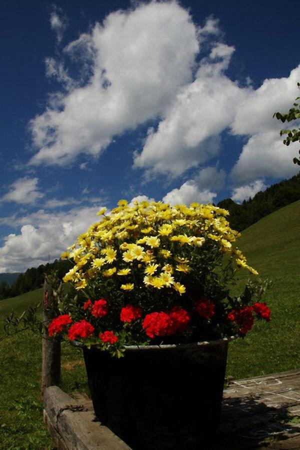 Huettenferien Koeberlhof Sankt Georgen ob Murau Exteriör bild