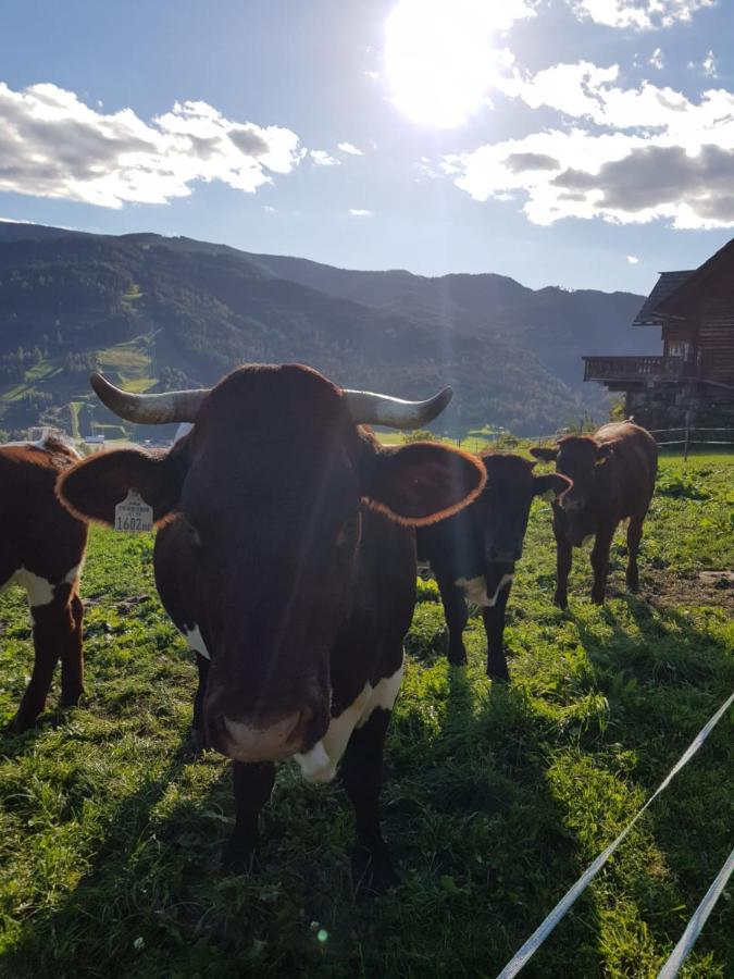 Huettenferien Koeberlhof Sankt Georgen ob Murau Exteriör bild